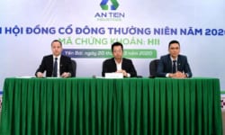 ĐHCĐ An Tiến Industries 2020: Tiếp đà tăng trưởng mạnh của lợi nhuận cốt lõi, dự kiến chi trả cổ tức 10-15%