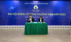 Năm 2021, HII đặt kế hoạch doanh thu đạt 4.000 tỷ đồng, lợi nhuận sau thuế đạt 70 tỷ đồng