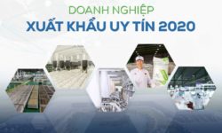 5 công ty thành viên của An Phát Holdings là “Doanh nghiệp xuất khẩu uy tín” năm 2020