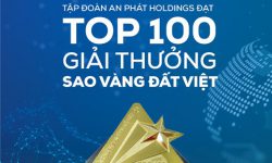 Giải thưởng Sao Vàng đất Việt vinh danh An Phát Holdings